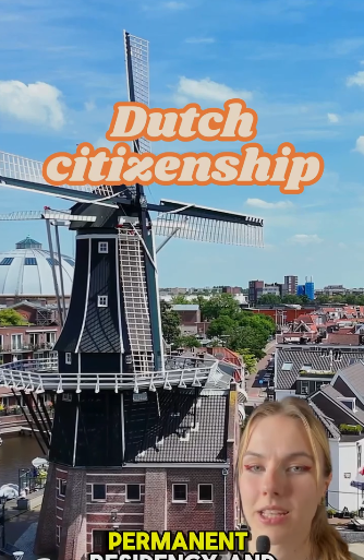 EXPAT GUIDES preview 3